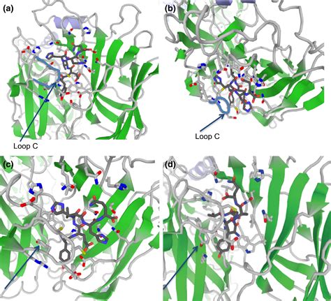 Protection Against β‐amyloid Neurotoxicity By A Non‐toxic Endogenous N