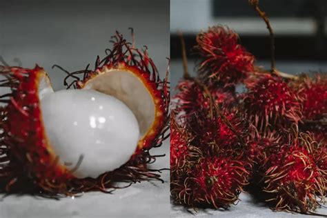 Produksi 20 Ton Lebih Ini Daerah Penghasil Rambutan Terbesar Di Maluku