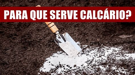 PARA QUE SERVE O CALCÁRIO NAS PLANTAS YouTube