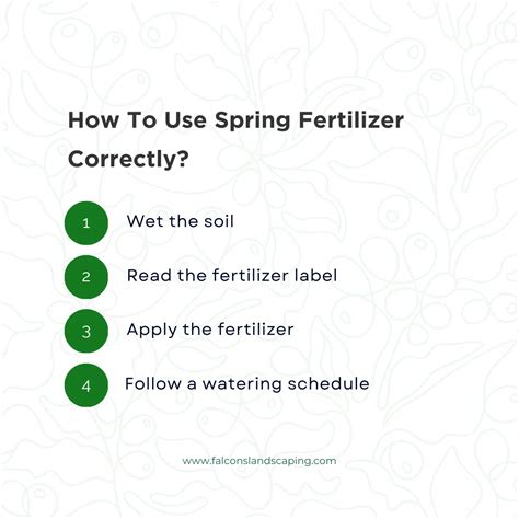 Choose The Best Spring Lawn Fertilizer For Great Results