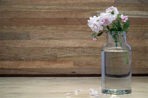 Pink Rose In Glass Vase With Petals Stock Photo Image Of Flower Gift