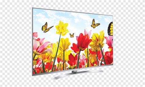 4k Resolution Smart Tv Led Backlit Lcd Ultra High Definition Television Lg Television Display