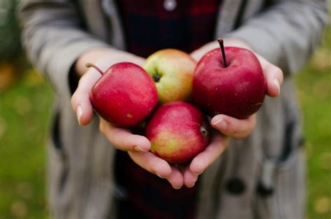 Manfaat Mengonsumsi Buah Apel Untuk Kesehatan