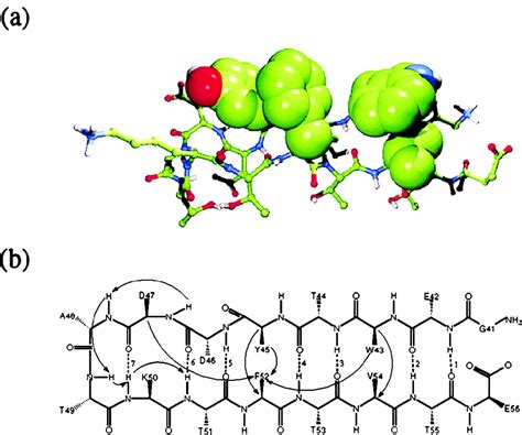 Understanding Hairpin Formation Pnas