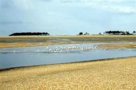 Wells Next The Sea Photo Uk Beach Guide