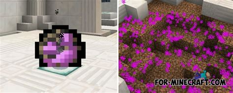 Secret Blocks and Items map for Minecraft PE 0.17.0