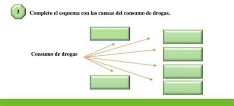 Completo El Esquema Con Las Causas Del Consumo De Drogas Brainly Lat