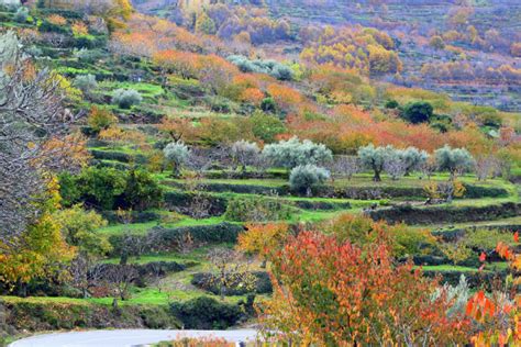 Recomendaciones Para Visitar El Valle Del Jerte En Oto O