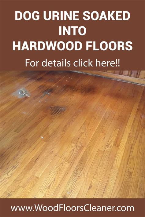 Ultimate Guide How To Remove Black Stains From Hardwood Floors Artofit