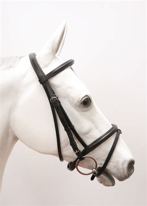 Vespucci Plain Raised Jump Bridle Equestrian Imports