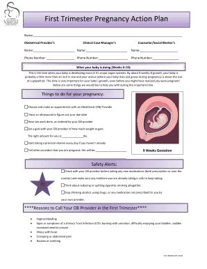 Fillable Online First Trimester Pregnancy Action Plan Fax Email Print