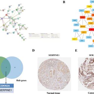 Construction Of Ppi Networks And Identification Of Hub Genes A The Ppi