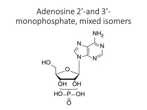 Guanosine Cyclic Monophosphate Sodium Salt Akonscientific