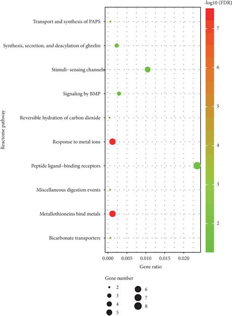 Functional Enrichment Analysis For Degs A The Top 10 Terms Of