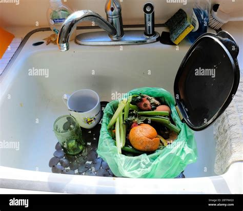 Food Scraps In A Compost Bin In A Kitchen Sink Food Waste Collected In