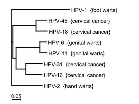 1 In 3 Throat Cancer Cases May Be Caused By Hpv Viruses Diseases