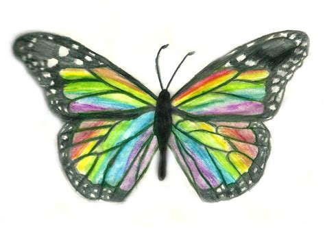 Rainbow Butterfly by uhtalia on DeviantArt