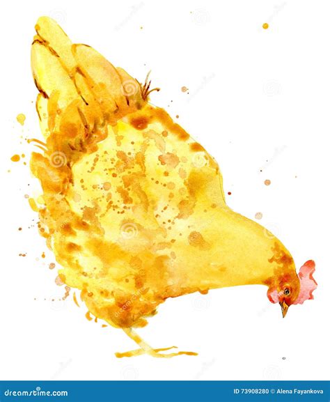 Chicken Chicken Watercolor Stock Illustration Illustration Of