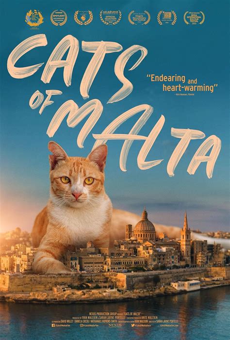 Cats Of Malta