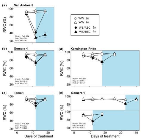 Leaf Relative Water Content Rwc Evolution During Drought White Download Scientific Diagram