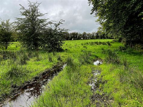 A Wet Field Castletown Kenneth Allen Geograph Ireland