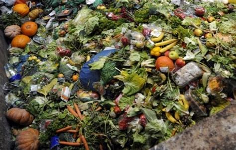 Post Harvest Advice ‘reduce Waste Through Better Packaging