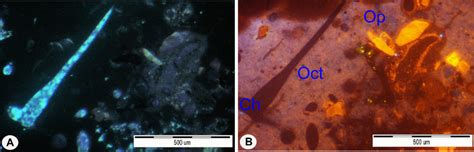 The silificated opoka-rock: (A) Polarizing microscope, 2P; (B) CL image ...