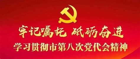 学习贯彻市第八次党代会精神丨坚持党旗所指就是团旗所向 工作