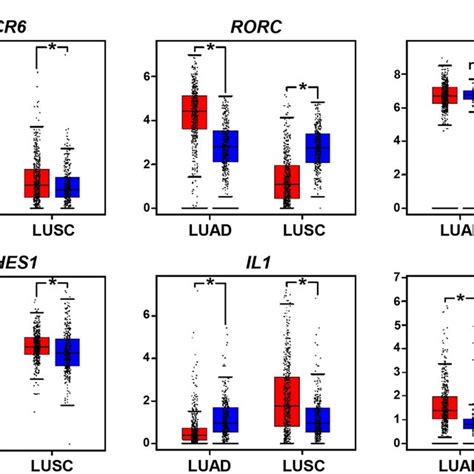 The Gene Transcription Patterns In The Tme Of Luad And Lusc Patients