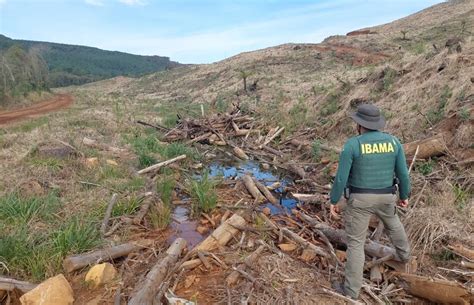 Ibama Recebeu Apenas Das Multas Por Crimes Ambientais Em No Pr