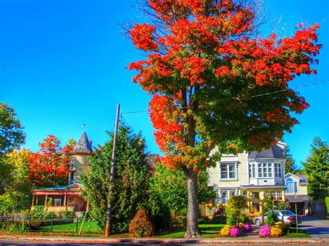 Obituaries niagara falls ontario tell stories of a vibrant city 3