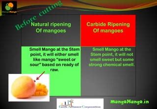 How to recognise carbide ripen mangoes | PPT