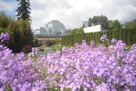 Ogr D Botaniczny Uj Dziennik Polski