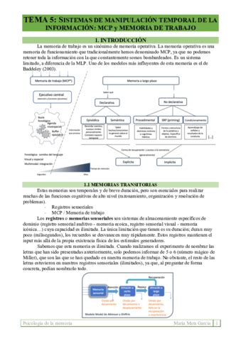 Tema Sistemas Manipulaci N De Info