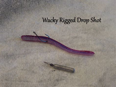 The Best Wacky Rigging Set Ups For Bass Fishing Kraken Bass