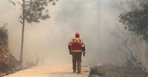 Nuevo León Incendio Forestal De La Sierra De Santiago Se Extiende A