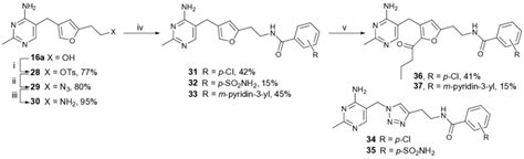 Scheme Synthesis Of Amides Reagents And Conditions I Tscl