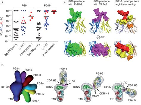 Pg9 And Pg16 Recognition Of The Hiv 1 Viral Spike Monomeric Gp120 And