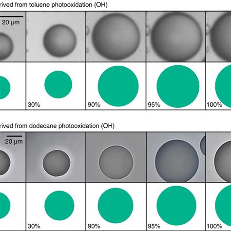 Pdf Resolving The Mechanisms Of Hygroscopic Growth And Cloud