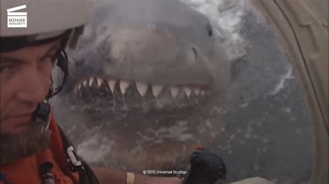 Jaws Helicopter Vs White Shark Hd Clip Youtube