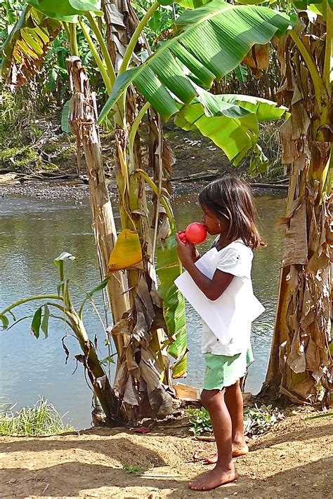 Panama Dariën Mogue We nemen afscheid van de Embera en Flickr