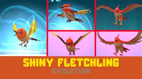 Shiny Fletchling Evolution Pokemon Go March Community Day