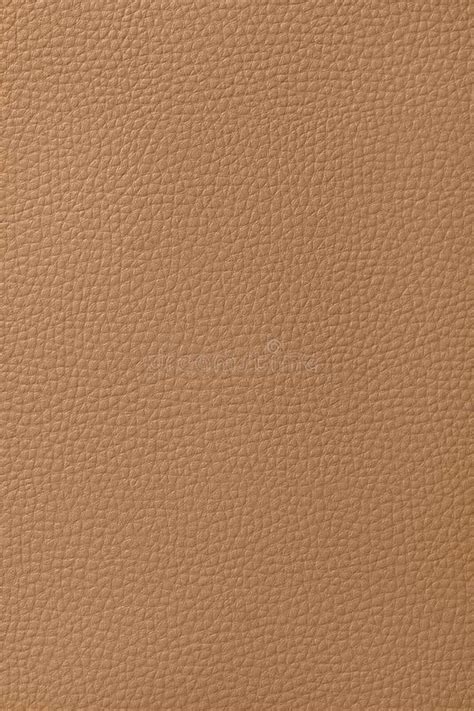 Light Brown Leather Texture Stock Photo - Image: 13215552