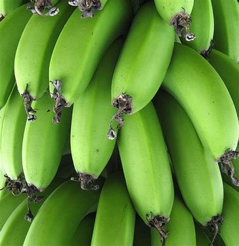 Rocombole Bio Massa De Banana Verde Doces E Sobremesas Receitas