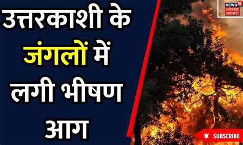 Uttarkashi Forest Fire उत्तरकाशी के जंगलों में लगी भीषण आग सुबह चारों