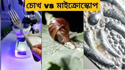 যা শুধু মাত্র Microscope এ দেখা সম্ভব।। Things You Can Only See Under