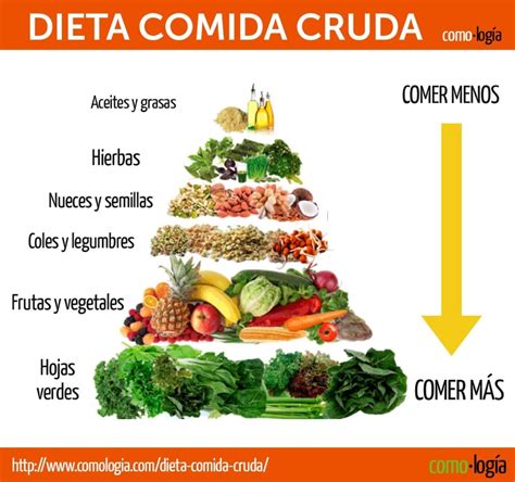 Mejores Dietas Para Perder Peso Del 2024 Que Realmente Funcionan 🍏