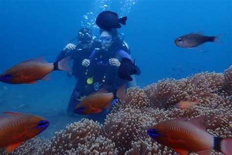 Shipwreck Tulamben Diving Tours Harga Promo Terbaru