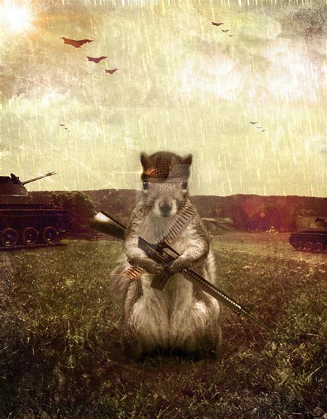 Army Squirrel by blackshark89 on DeviantArt