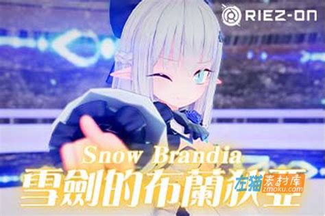 Pc游戏 《スノウブランディア Fairy Later》雪剑布兰迪亚act动作游戏dlsite整合中文版 左猫素材库